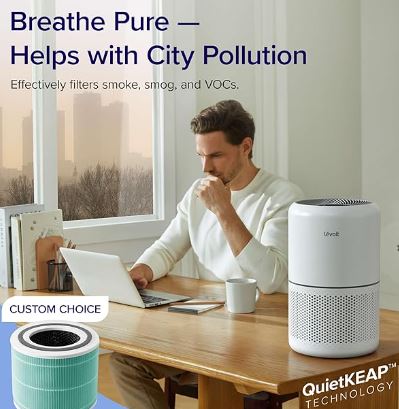 air Purifier for Home Allergies