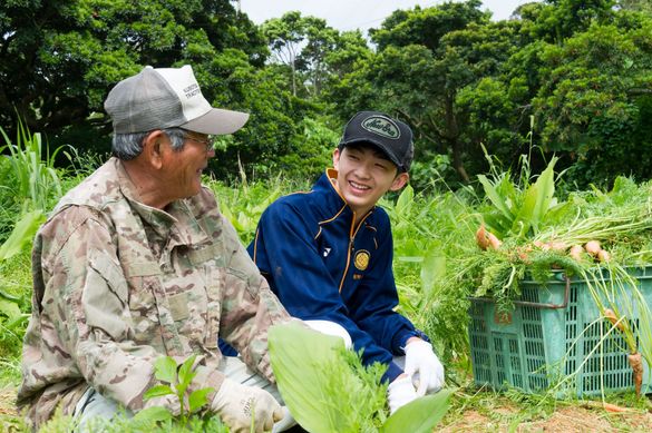 blue-zone-documentary-netflix-okinawa